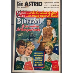 DAS ERBE VON BJORNDAL
