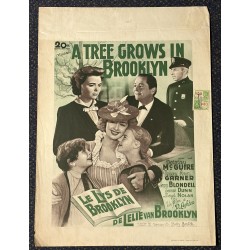 TREE GROWS IN BROOKLYN
